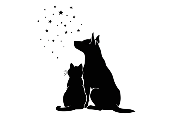 Dog and Cat Silhouette Looking at Stars