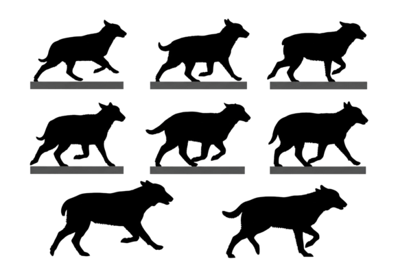 Dog Silhouette Bundle Walking Running